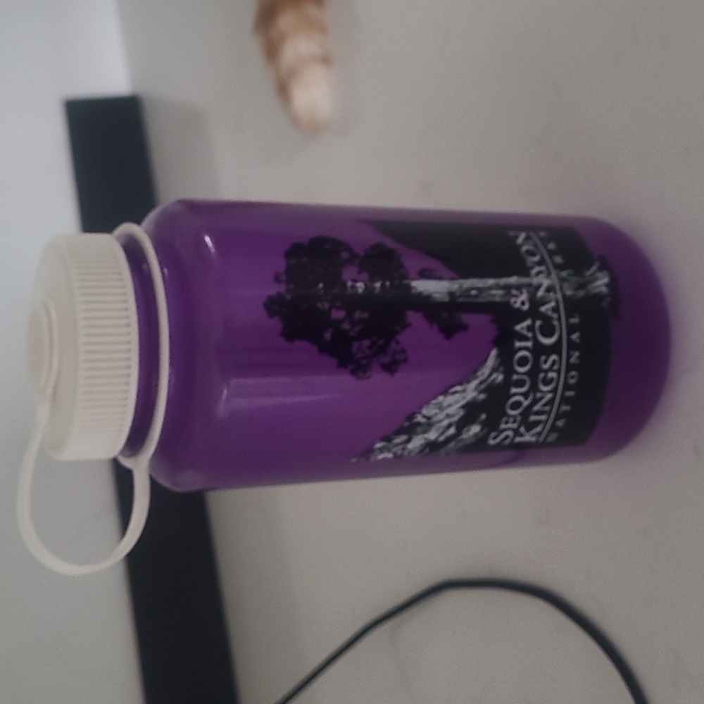 Nalgene BPA free water bottle